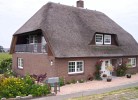 Strandläufer / Kleiseerkoogsdeich