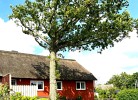 Haus Hanna