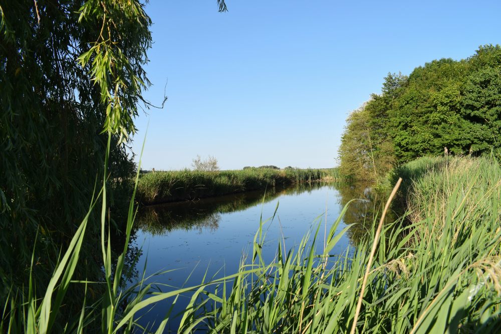 Reetdachhaus Bongsiel / Sönke-Nissen-Koog (Redlefswarft)