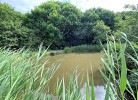 Hof Döttgebüll / Thorge