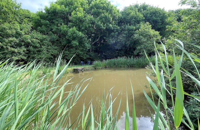 Hof Döttgebüll / Thorge