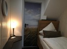 Strandläufer / Kleiseerkoogsdeich