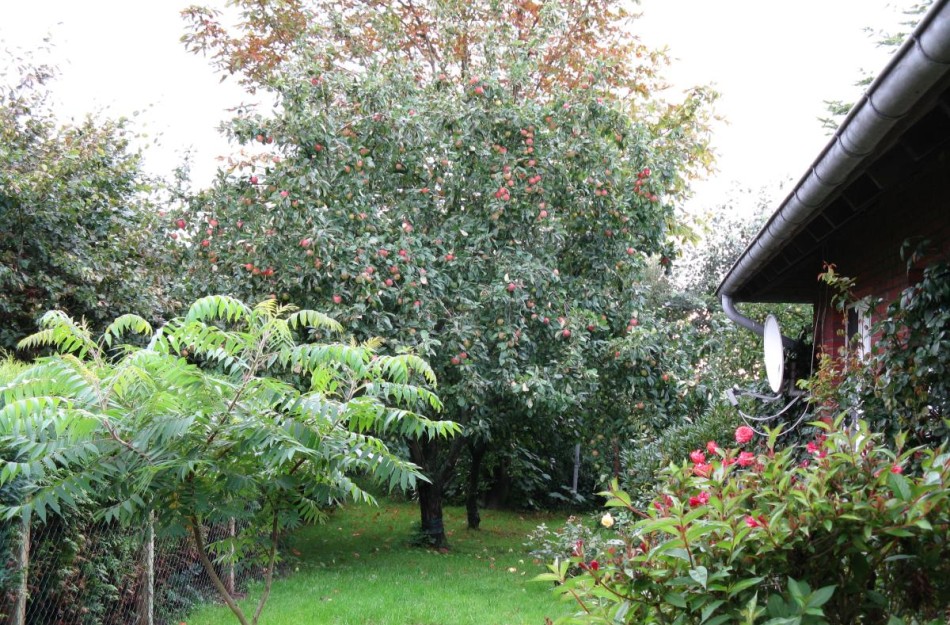 Ferienhaus Ockholm