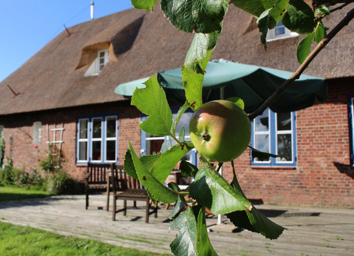 Haus Broderswarft