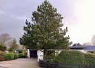 Haus Libelle
