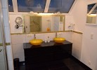 Kegelrobbe